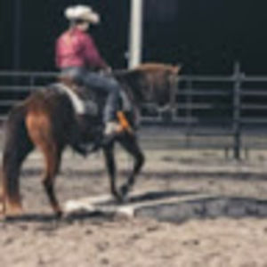 Meet your Posher, Tegan